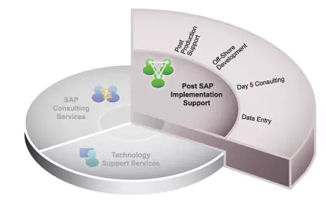 SAP Consultant Softwin technologis Postsaptemp
